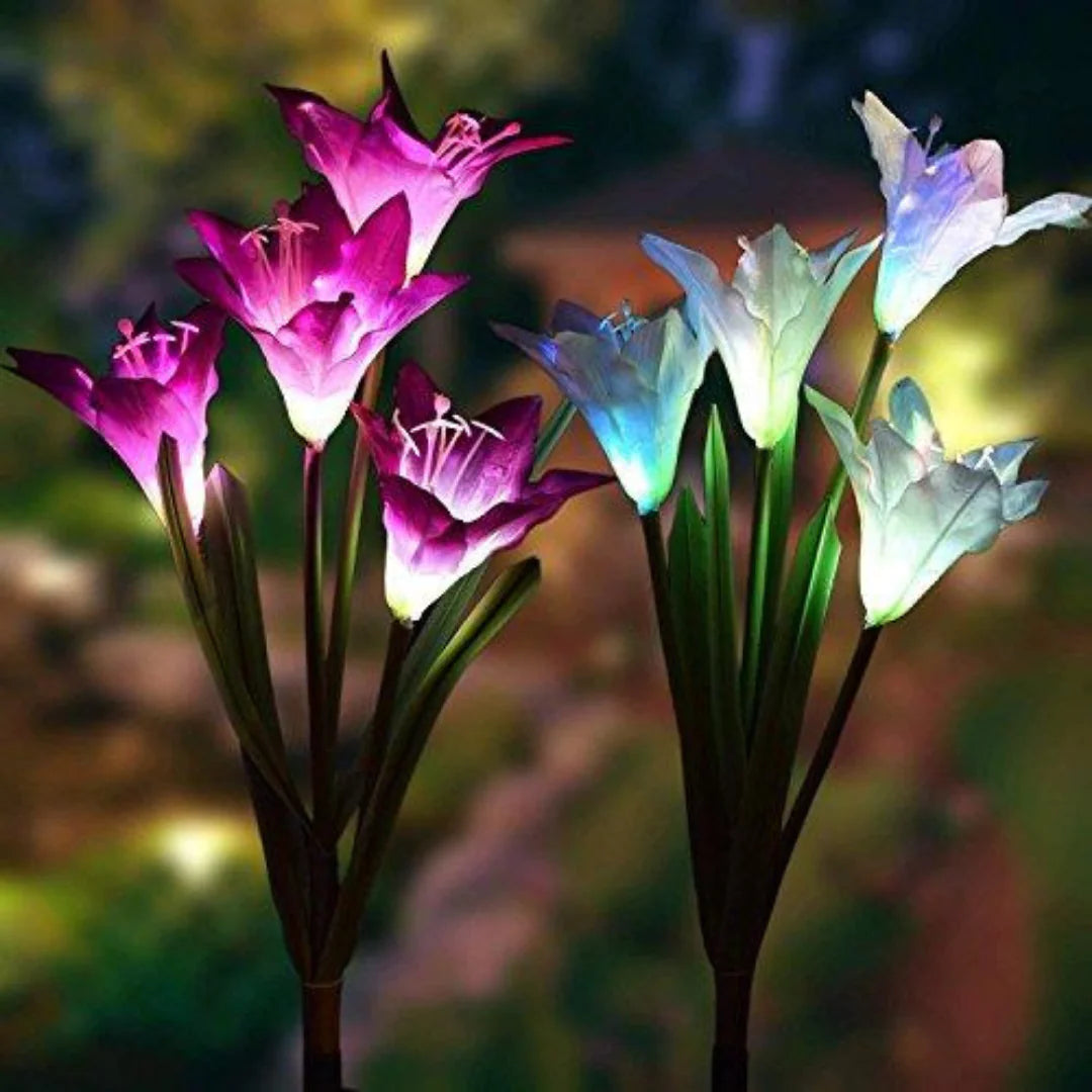 Elegant Eco-Friendly Enchanted Solar Lilies