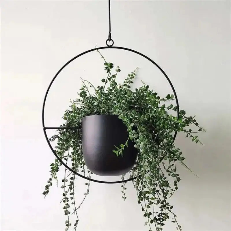 Creative Hanging Indoor Planter