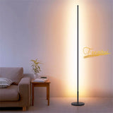 Modern Dimming LED Floor Lamp ,