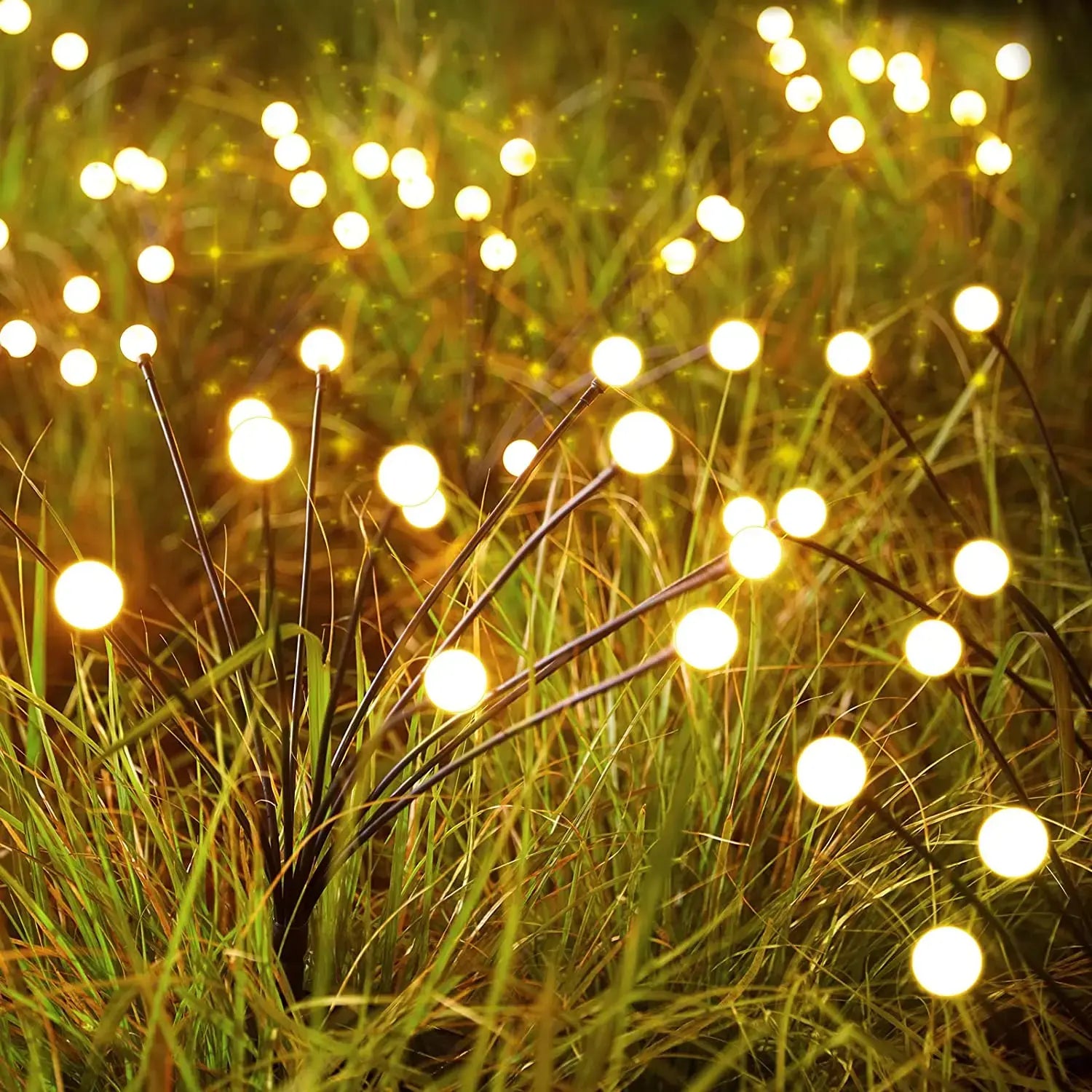 Solar Powered Garden Lights