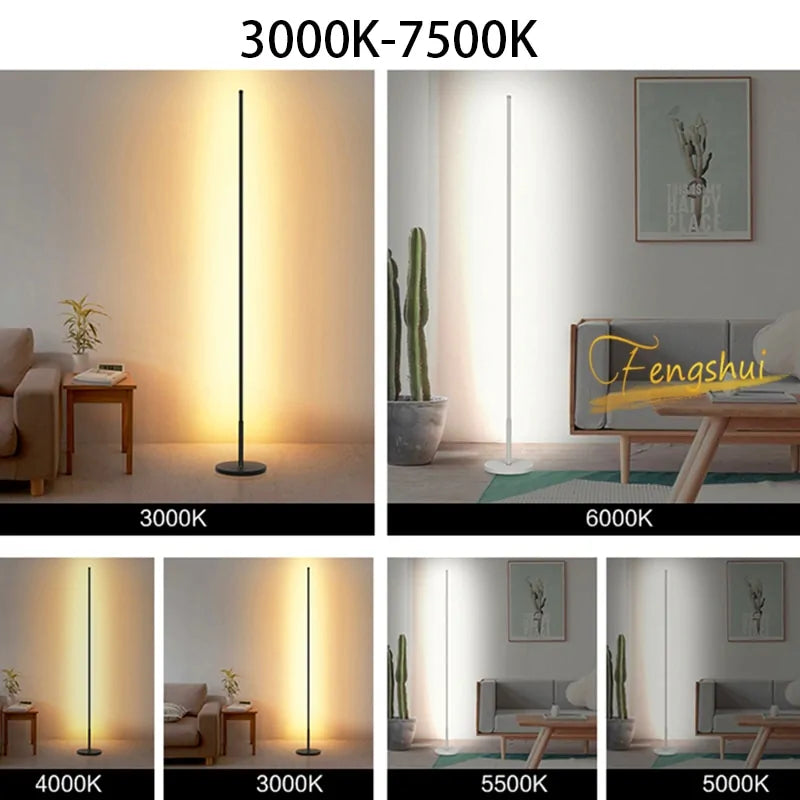 Modern Dimming LED Floor Lamp ,